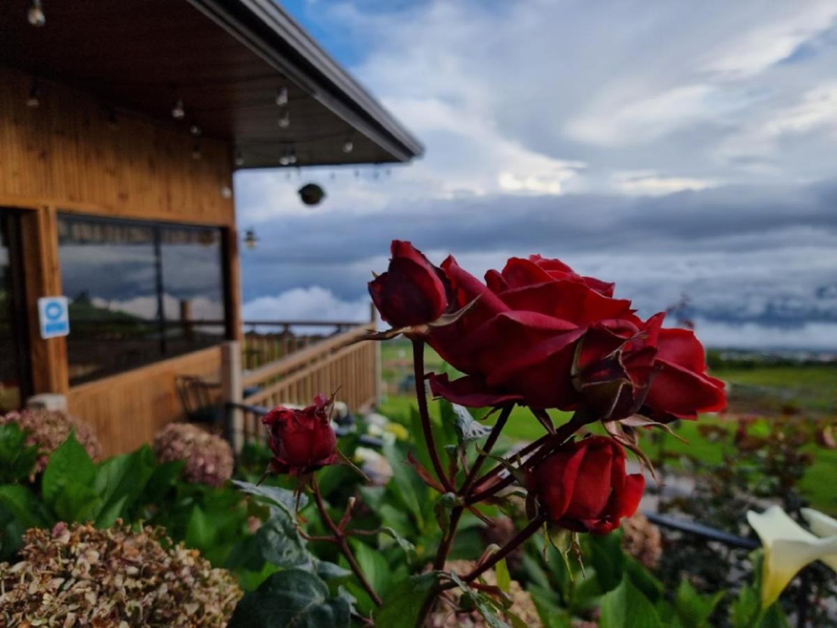 Hotel Cabanas Y Mirador Secret Garden Cr Cartago Exterior photo